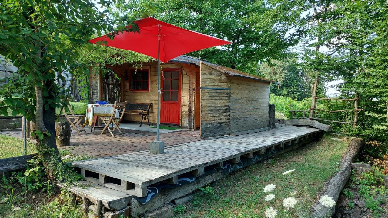 Natural Glamping Eco-tiny House * Skocjan (Skocjan)