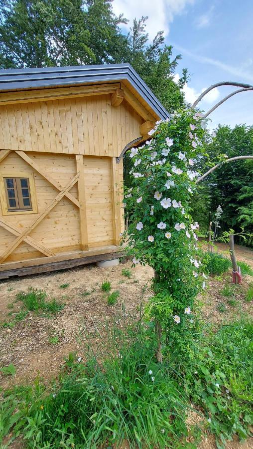 Natural Glamping Eco-tiny House Campsite Skocjan (Skocjan)