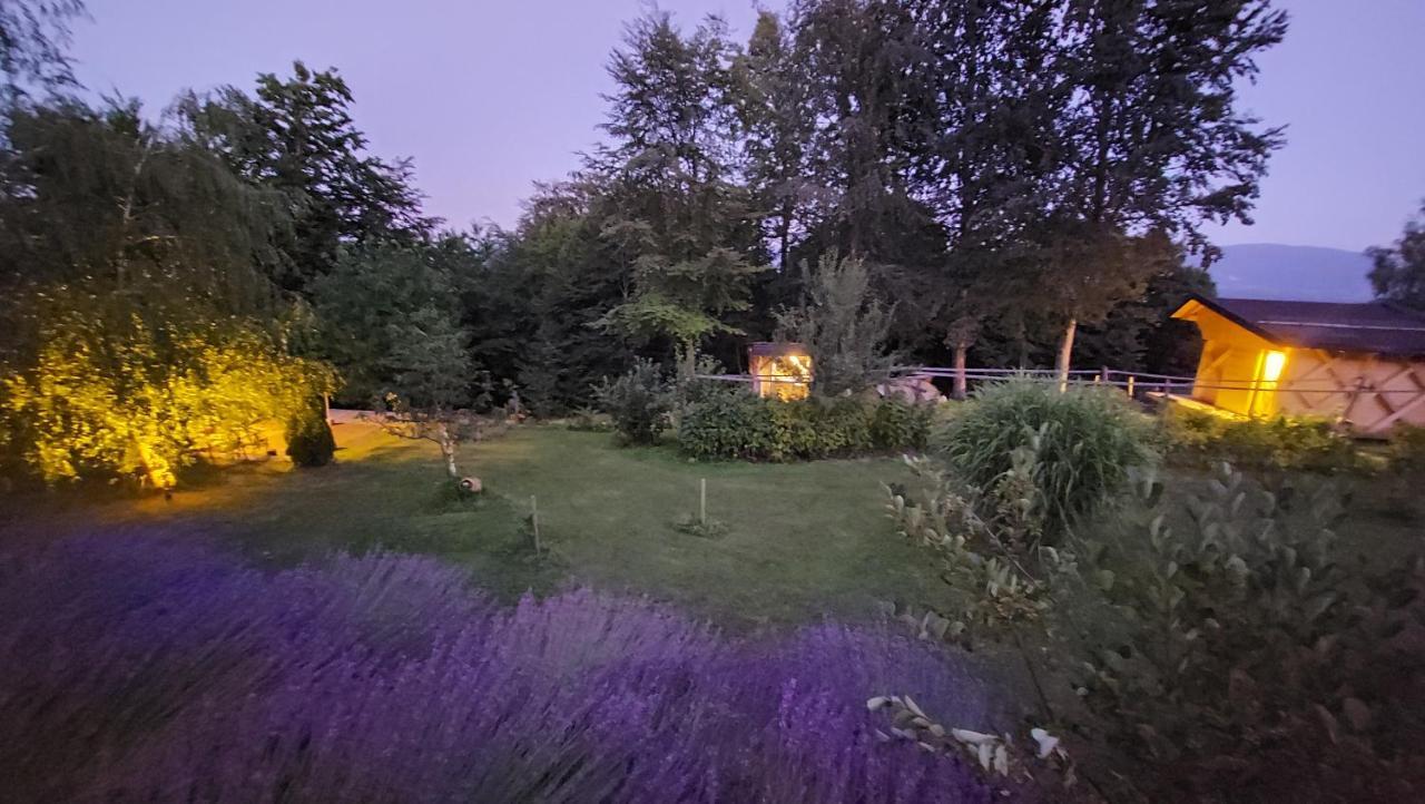 Natural Glamping Eco-tiny House Campsite