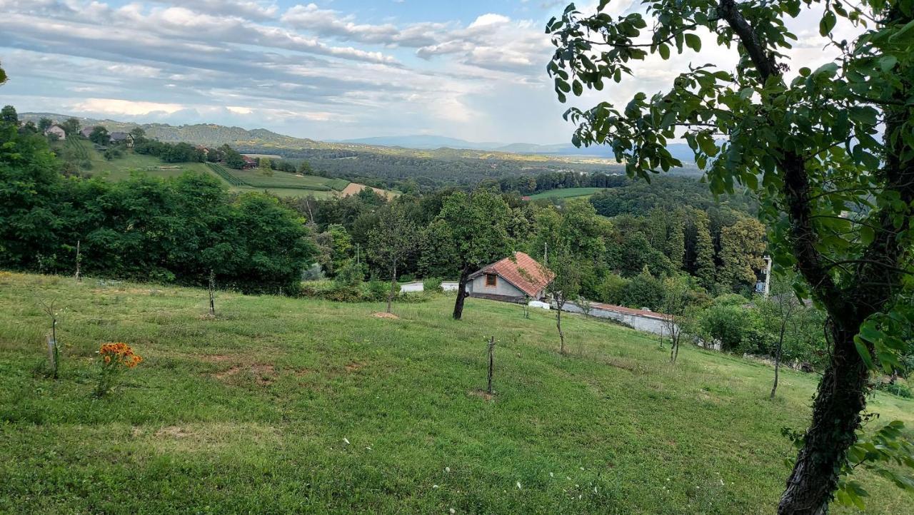 Campsite Natural Glamping Eco-tiny House Skocjan (Skocjan)