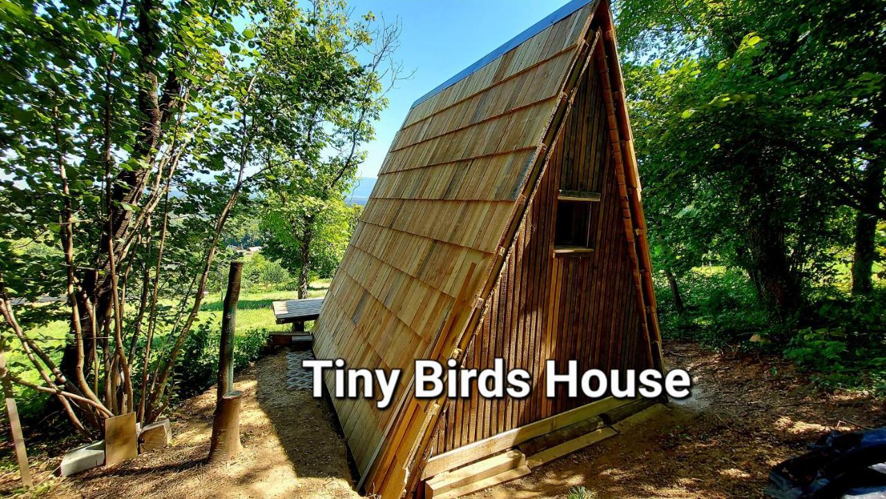 Natural Glamping Eco-tiny House Skocjan (Skocjan)