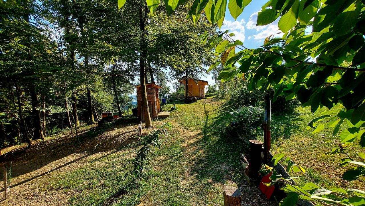 Natural Glamping Eco-tiny House
