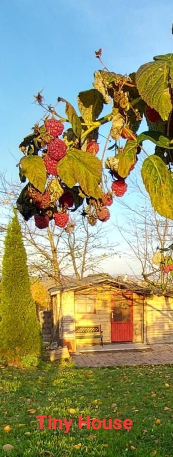 Campsite Natural Glamping Eco-tiny House